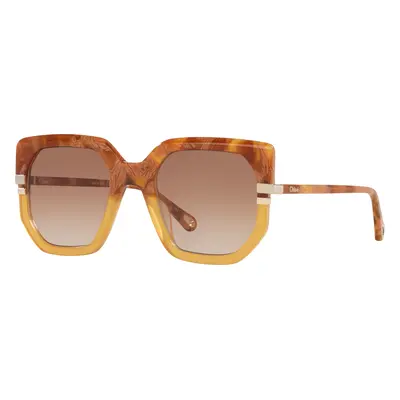 Chloé Woman Sunglass CH0240S - Frame color: Brown, Lens color: Brown