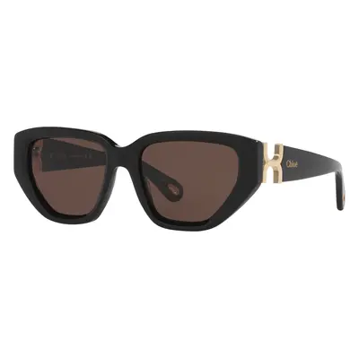 Chloé Woman Sunglass CH0235S - Frame color: Black, Lens color: Brown