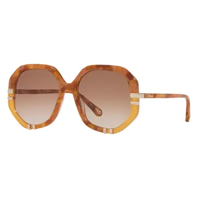 Chloé Woman Sunglass CH0105S - Frame color: Brown Shiny, Lens color: Brown