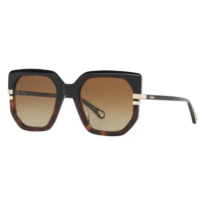 Chloé Woman Sunglass CH0240S - Frame color: Black, Lens color: Brown