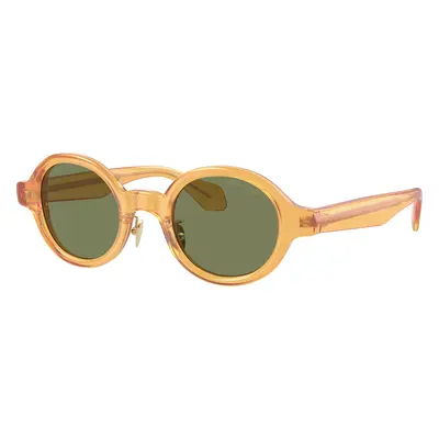 Giorgio Armani Man Sunglass AR8205 - Frame color: Transparent Honey, Lens color: Green