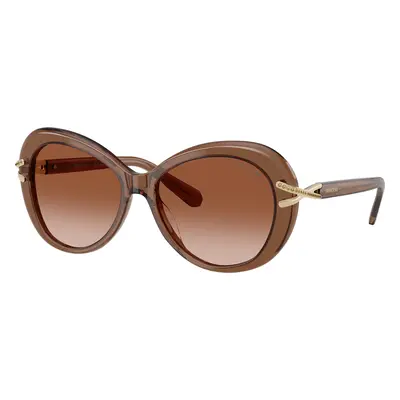 Swarovski Woman Sunglass SK6026 - Frame color: Transparent Brown, Lens color: Gradient Brown