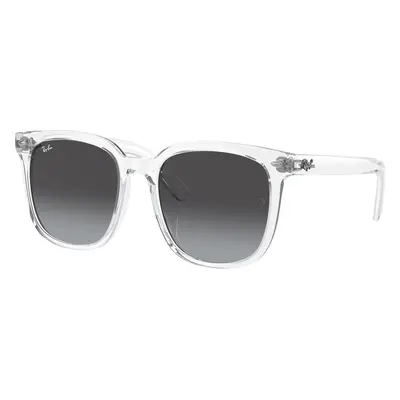 Ray-Ban Unisex Sunglass RB4401D - Frame color: Transparent, Lens color: Grey