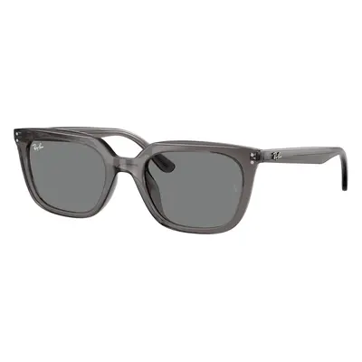 Ray-Ban Unisex Sunglass RB4439D - Frame color: Transparent Grey, Lens color: Dark Grey