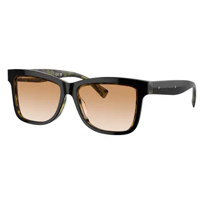 Brunello Cucinelli Woman Sunglass BC4009S - Frame color: Black On Havana, Lens color: Clear Gra