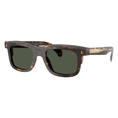 Moncler Unisex Sunglass ME6004 Claro - Frame color: Brown Tortoise, Lens color: Green Polar