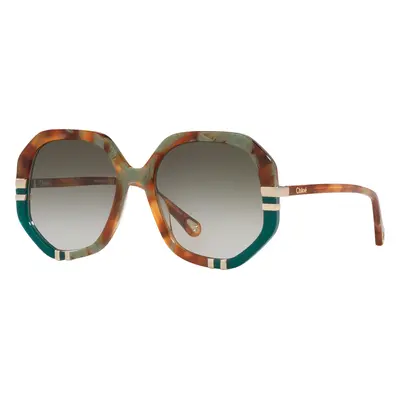 Chloé Woman Sunglass CH0105S - Frame color: Tortoise, Lens color: Green