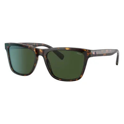 Polo Ralph Lauren Man Sunglass PH4167 - Frame color: Shiny Dark Havana Wimbledon, Lens color: D