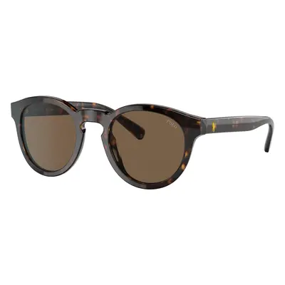 Polo Ralph Lauren Man Sunglass PH4184 - Frame color: Shiny Dark Havana, Lens color: Brown