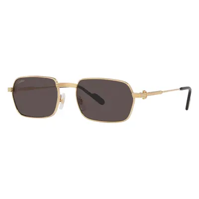 Cartier Man Sunglass CT0463S - Frame color: Gold, Lens color: Grey