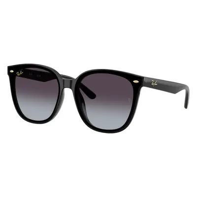 Ray-Ban Unisex Sunglass RB4423D Year Of The Snake Edition - Frame color: Black, Lens color: Gre