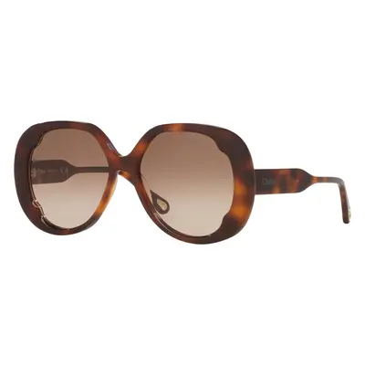 Chloé Woman Sunglass CH0195S - Frame color: Tortoise, Lens color: Brown