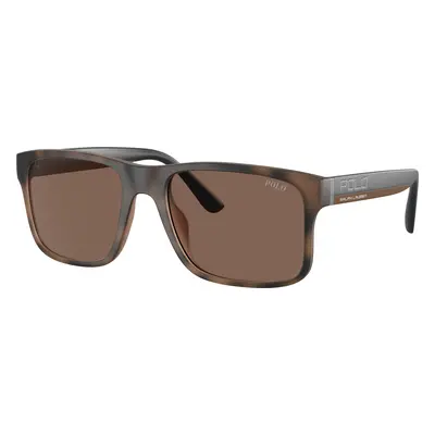 Polo Ralph Lauren Man Sunglass PH4195U - Frame color: Matte Brown Havana, Lens color: Brown