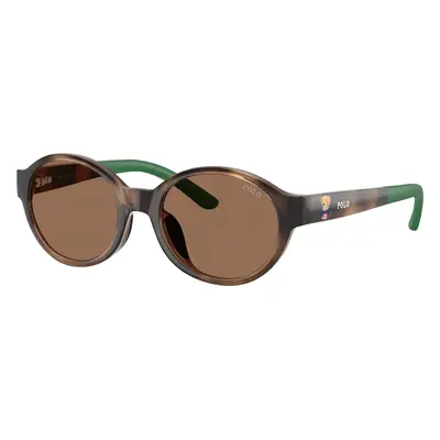 Polo Ralph Lauren Unisex Sunglass PP9510U - Frame color: Shiny Dark Havana, Lens color: Dark Br