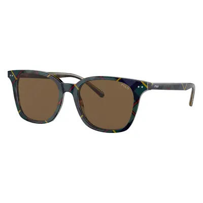 Polo Ralph Lauren Man Sunglass PH4187 - Frame color: Shiny Dress Gordon, Lens color: Brown