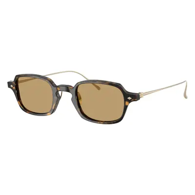 Giorgio Armani Man Sunglass AR8227T - Frame color: Havana, Lens color: Brown