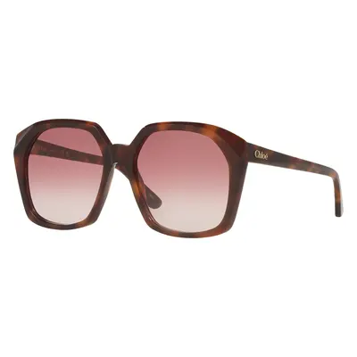 Chloé Woman Sunglass CH0280S - Frame color: Tortoise, Lens color: Red