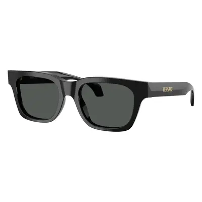 Versace Man Sunglass VE4486 - Frame color: Black, Lens color: Dark Grey