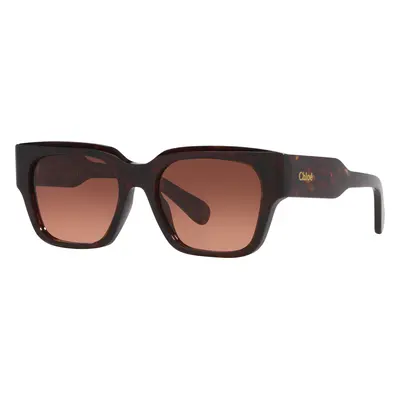 Chloé Woman Sunglass CH0190S - Frame color: Tortoise, Lens color: Copper