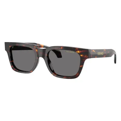 Versace Man Sunglass VE4486 - Frame color: Havana, Lens color: Dark Grey Polar