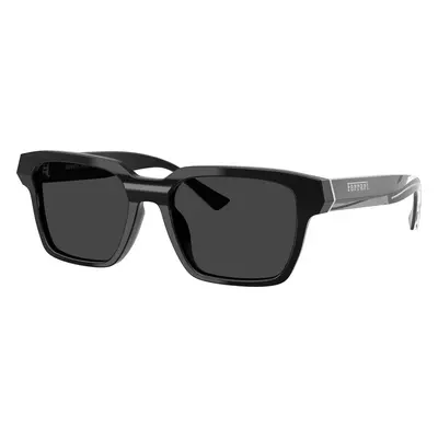 Ferrari Unisex Sunglass FH2011U - Frame color: Black, Lens color: Grey Polar