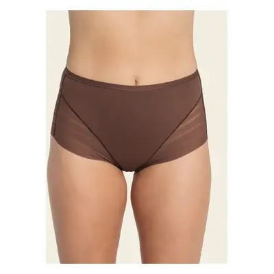 Lace stripe undetectable classic shaper knicker