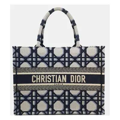 Christian Dior Book Tote Handbag M1296