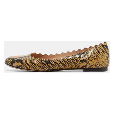 Chloe Yellow/Black Scalloped Embossed Python Lauren Ballet Flats Size 37.5