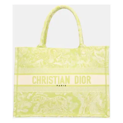 Dior Green Canvas Medium Book Tote Bag