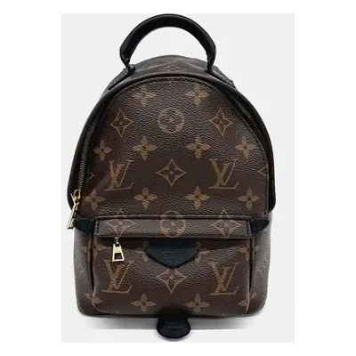 Louis Vuitton Palm Springs Mini Backpack