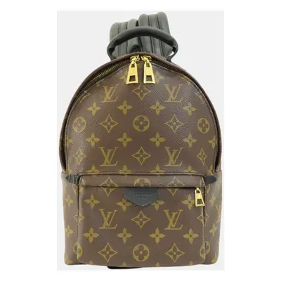 Louis Vuitton Canvas Palm Springs Monogram Backpack