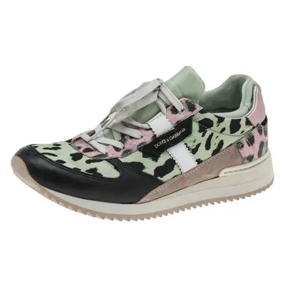 Dolce & Gabbana Multicolor Leopard Print Canvas And Leather Low Top Sneakers Size