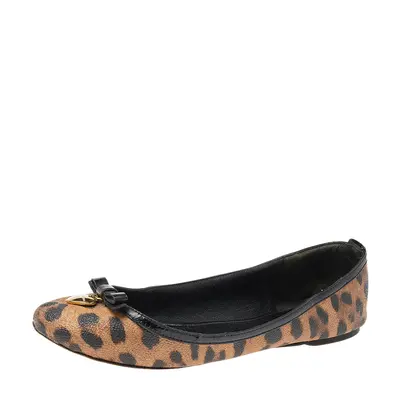 Dolce & Gabbana Brown Leopard Print Coated Canvas Bow Detail Ballet Flats Size