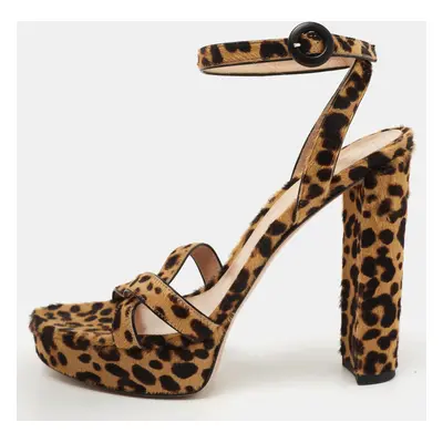 Gianvito Rossi Brown/Beige Leopard Print Calf Hair Platform Ankle Strap Sandals Size