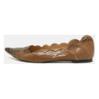 Chloe Two Tone Scalloped Embossed Python Pointed Toe Ballet Flats Size