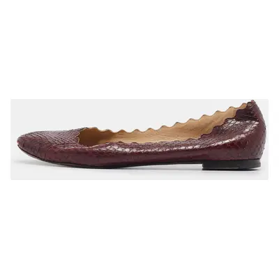 Chloe Burgundy Python Leather Lauren Scallop Ballet Flats Size