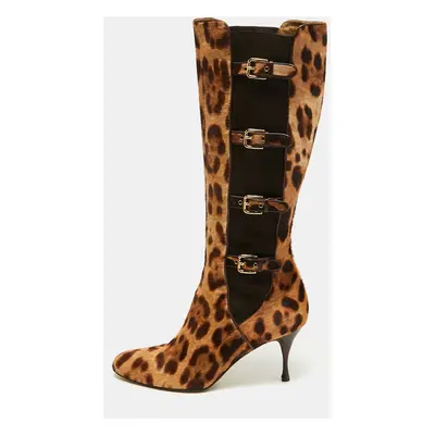 Dolce & Gabbana Brown/Brown Leopard Print Calf Hair Knee Length Boots Size