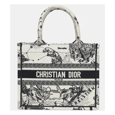 Christian Dior Book Tote Bag