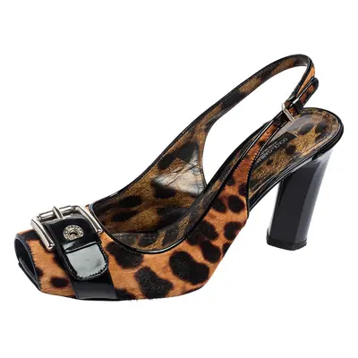 Dolce & Gabbana Brown/Black Leopard Calf Hair and Patent Leather Buckle Slingback Pumps Size 37.