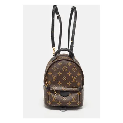 Louis Vuitton Monogram Canvas Mini Palm Springs Backpack