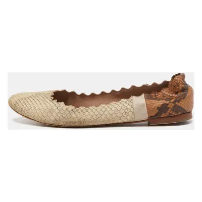 Chloe Cream/Brown Python Scalloped Accent Ballet Flats Size