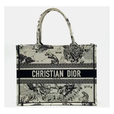 Dior Book Tote Bag