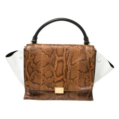 Celine Multicolor Python and Leather Medium Trapeze Bag