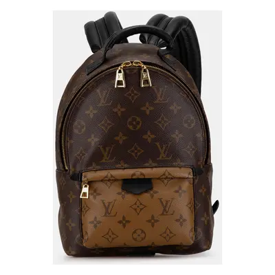 Louis Vuitton Monogram Reverse Palm Springs PM