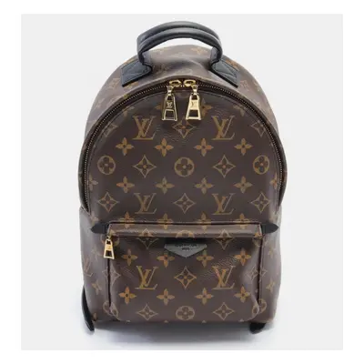 Louis Vuitton Palm Springs Pm Monogram Coated Canvas Leather Brown Black Rucksack Backpack