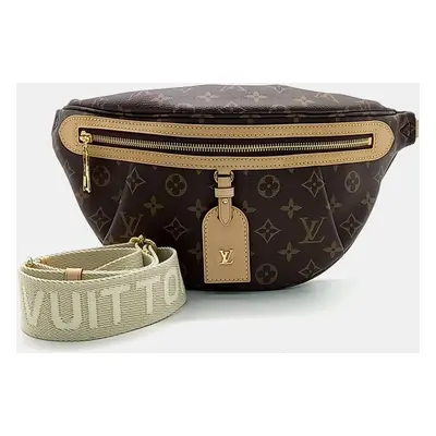 Louis Vuitton Monogram High Rise bag