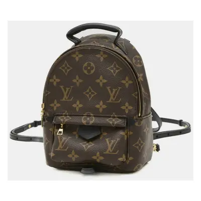 Louis Vuitton Brown Monogram Palm Springs Mini Backpack