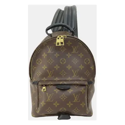 Louis Vuitton Canvas Palm Springs PM Monogram Backpack