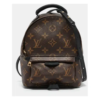 Louis Vuitton Monogram Canvas Mini Palm Springs Backpack