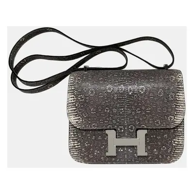 Hermes Lizard Ombre Constance Mirror bag PHW